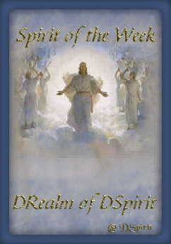 Spirit of the Week